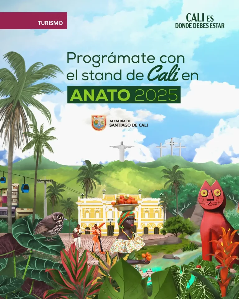 1 Programación Anato 2025