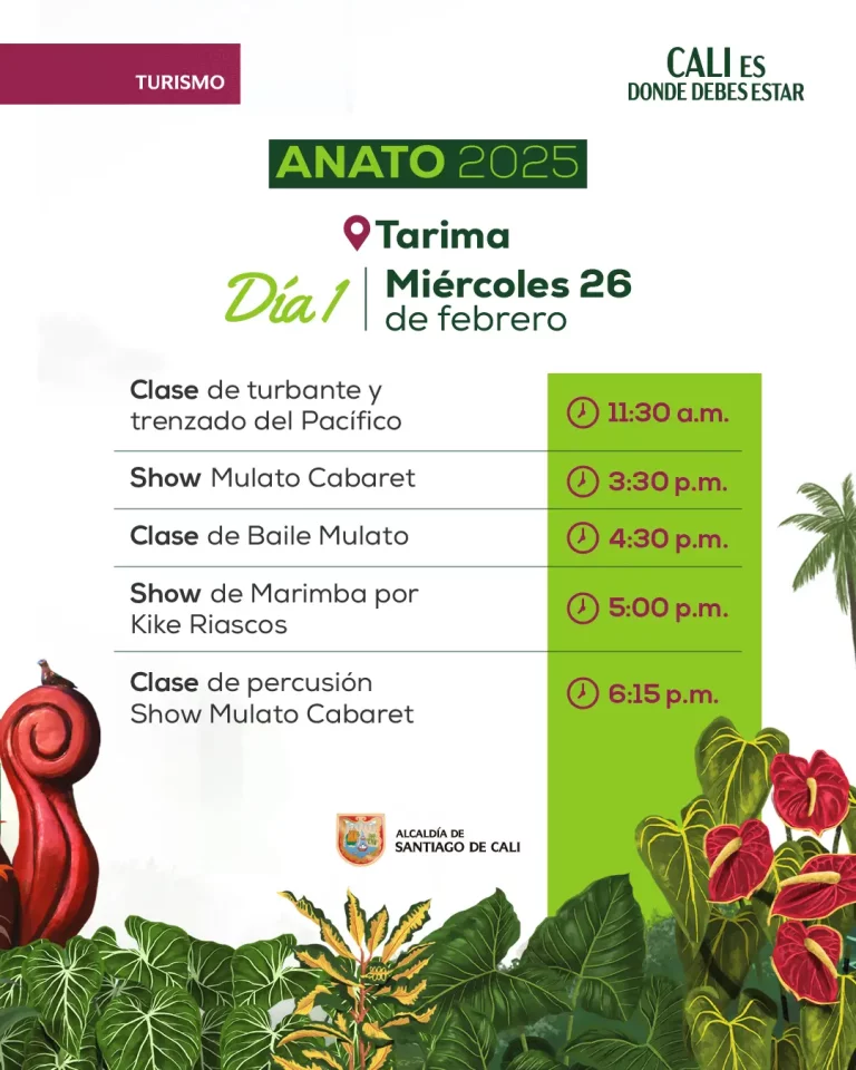 2 Programación Anato 2025