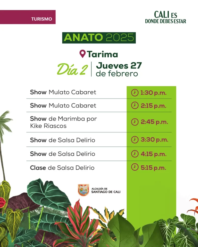 3 Programación Anato 2025