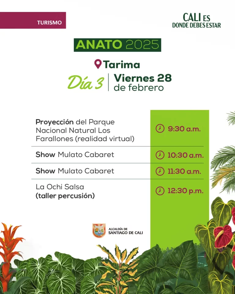4 Programación Anato 2025
